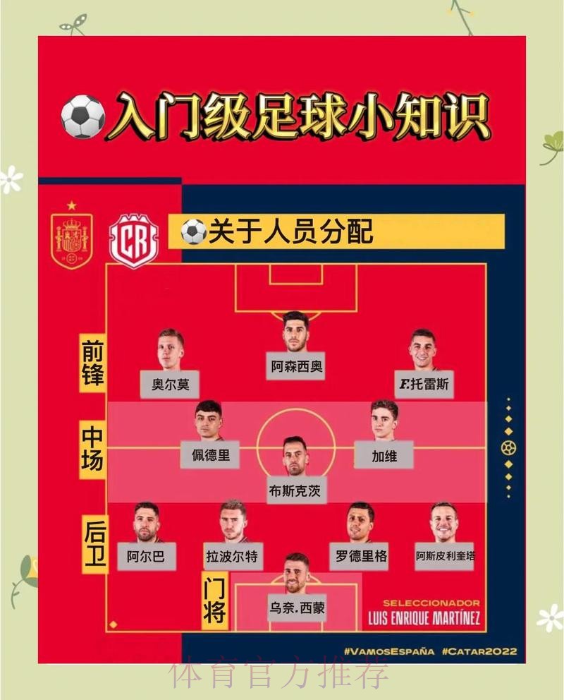 全面解析：世界杯外围安全防范措施